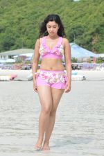 Payal Ghosh (Harika) in Bikini Swimwear Photoshoot on 30th May 2010 (51).JPG